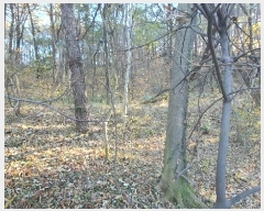  2024Ÿ��58968 ���� ��õ�� �ط�� ������ 388-1      ����(�Ӿ�)���