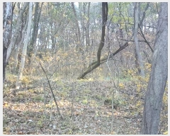  2024Ÿ��58968 ���� ��õ�� �ط�� ������ 388-1      ����(�Ӿ�)���