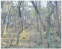  2024Ÿ��58968 ���� ��õ�� �ط�� ������ 388-1      ����(�Ӿ�)���