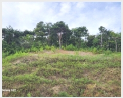  2024Ÿ��58968 ���� ��õ�� �ط�� ������ 388-1      ����(�Ӿ�)���