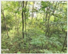  2024Ÿ��58968 ���� ��õ�� �ط�� ������ 388-1      ����(�Ӿ�)���