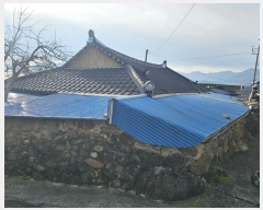  2024Ÿ��62370 ���� ���ʱ� ������ �볻�ȱ� 48-4      ���ð��