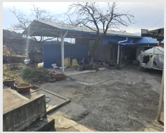  2024Ÿ��62370 ���� ���ʱ� ������ �볻�ȱ� 48-4      ���ð��