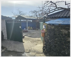  2024Ÿ��62370 ���� ���ʱ� ������ �볻�ȱ� 48-4      ���ð��