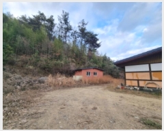  2024Ÿ62646    ߸ 663-1      ð