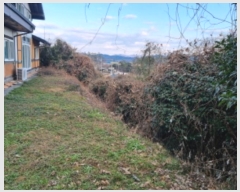  2024Ÿ62646    ߸ 663-1      ð