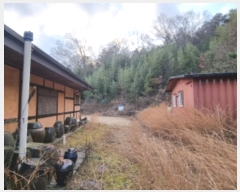  2024Ÿ62646    ߸ 663-1      ð