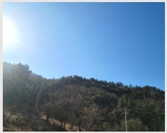  2024Ÿ63199    113-1       (Ӿ)