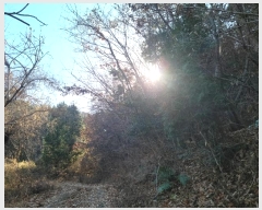  2024Ÿ63199    113-1       (Ӿ)