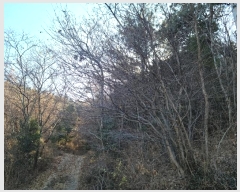  2024Ÿ63199    113-1       (Ӿ)