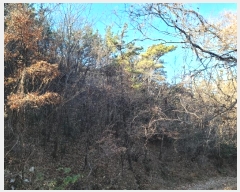  2024Ÿ63199    113-1       (Ӿ)