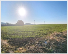  2024Ÿ542  س  Ǹ 593-1      (1)