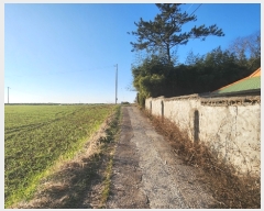  2024Ÿ542  س  Ǹ 593-1      (1)