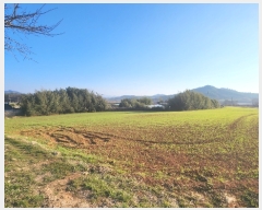  2024Ÿ542  س  Ǹ 593-1      (1)