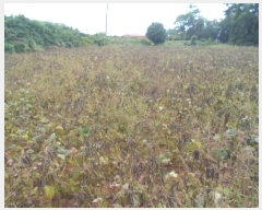  2024Ÿ2104  س ̸  574      (1)