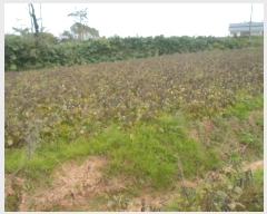  2024Ÿ2104  س ̸  574      (1)