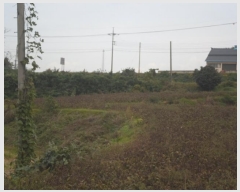  2024Ÿ2104  س ̸  574      (1)