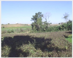  2024Ÿ2104  س ̸  574      (1)