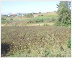  2024Ÿ2104  س ̸  574      (1)