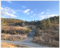  2024Ÿ��2401 ���� �س��� Ȳ��� ȣ���� 284-2      ����(�Ӿ�)���