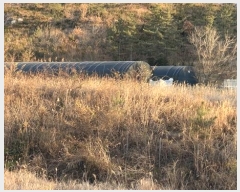  2024Ÿ��2401 ���� �س��� Ȳ��� ȣ���� 284-2      ����(�Ӿ�)���