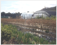  2024Ÿ2418     986-4      (1)