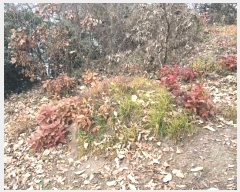  2024Ÿ2418     986-4      (1)