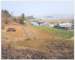  2024Ÿ��50059 ���� ������ ����� ������ ��36      ����(�Ӿ�)���