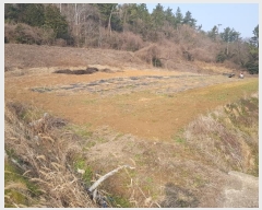  2024Ÿ��50059 ���� ������ ����� ������ ��36      ����(�Ӿ�)���