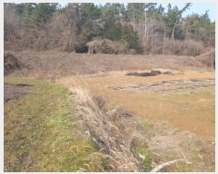  2024Ÿ��50059 ���� ������ ����� ������ ��36      ����(�Ӿ�)���