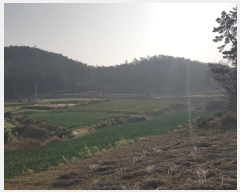  2024Ÿ��50059 ���� ������ ����� ������ ��36      ����(�Ӿ�)���