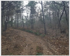  2024Ÿ��50059 ���� ������ ����� ������ ��36      ����(�Ӿ�)���