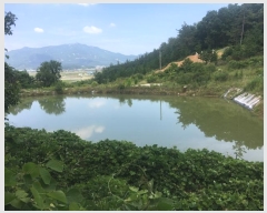  2024Ÿ��50790 ���� �س��� ����� ���۸� 1380-1      ����(��)���