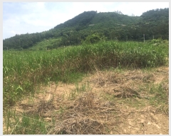  2024Ÿ��50790 ���� �س��� ����� ���۸� 1380-1      ����(��)���