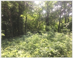  2024Ÿ��50790 ���� �س��� ����� ���۸� 1380-1      ����(��)���