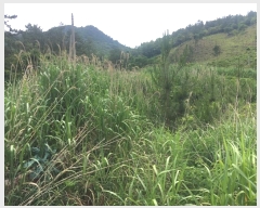  2024Ÿ��50790 ���� �س��� ����� ���۸� 1380-1      ����(��)���