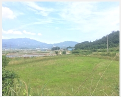  2024Ÿ��50790 ���� �س��� ����� ���۸� 1380-1      ����(��)���