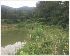  2024Ÿ��50790 ���� �س��� ����� ���۸� 1380-1      ����(��)���