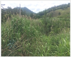  2024Ÿ��50790 ���� �س��� ����� ���۸� 1380-1      ����(��)���