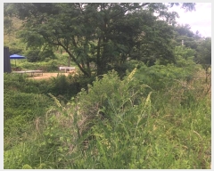  2024Ÿ��50790 ���� �س��� ����� ���۸� 1380-1      ����(��)���