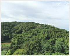  2024Ÿ��53065 ���� �ϵ��� ������ ���縮 1997-3      ����(��1)���