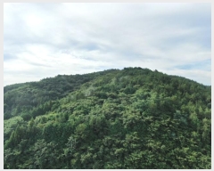  2024Ÿ��53065 ���� �ϵ��� ������ ���縮 1997-3      ����(��1)���