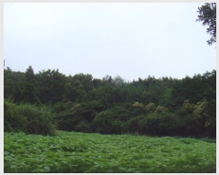  2024Ÿ��53065 ���� �ϵ��� ������ ���縮 1997-3      ����(��1)���