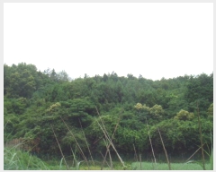  2024Ÿ��53065 ���� �ϵ��� ������ ���縮 1997-3      ����(��1)���