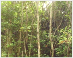  2024Ÿ��53065 ���� �ϵ��� ������ ���縮 1997-3      ����(��1)���