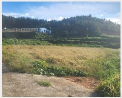  2024Ÿ��54334 ���� �س��� ȭ��� ���¸� 487-5      ����(��)���