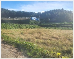  2024Ÿ��54334 ���� �س��� ȭ��� ���¸� 487-5      ����(��)���