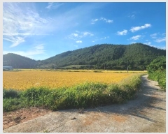  2024Ÿ��54334 ���� �س��� ȭ��� ���¸� 487-5      ����(��)���