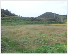  2024Ÿ��54334 ���� �س��� ȭ��� ���¸� 487-5      ����(��)���