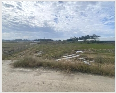  2024Ÿ54532  س   1146-1      ()